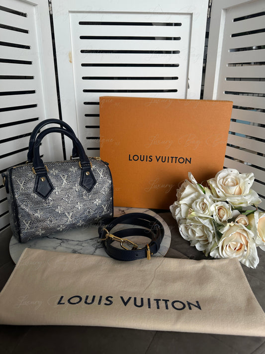 Louis Vuitton Speedy 20 Monoglam