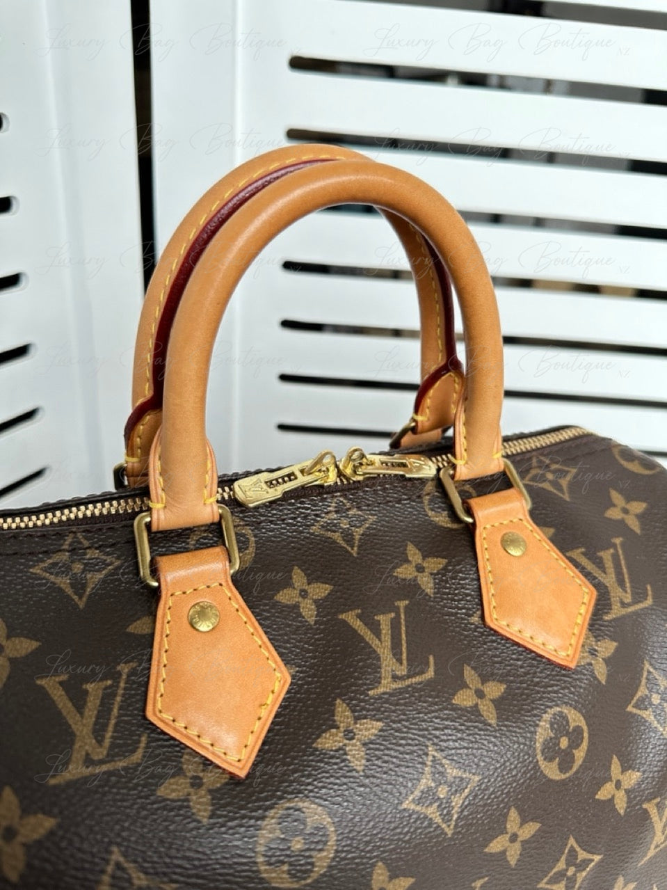 Louis Vuitton Speedy Bandoulière 25 Monogram