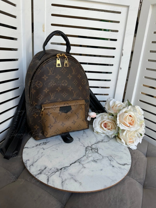 Louis Vuitton Palm Springs PM Monogram/Reverse Backpack